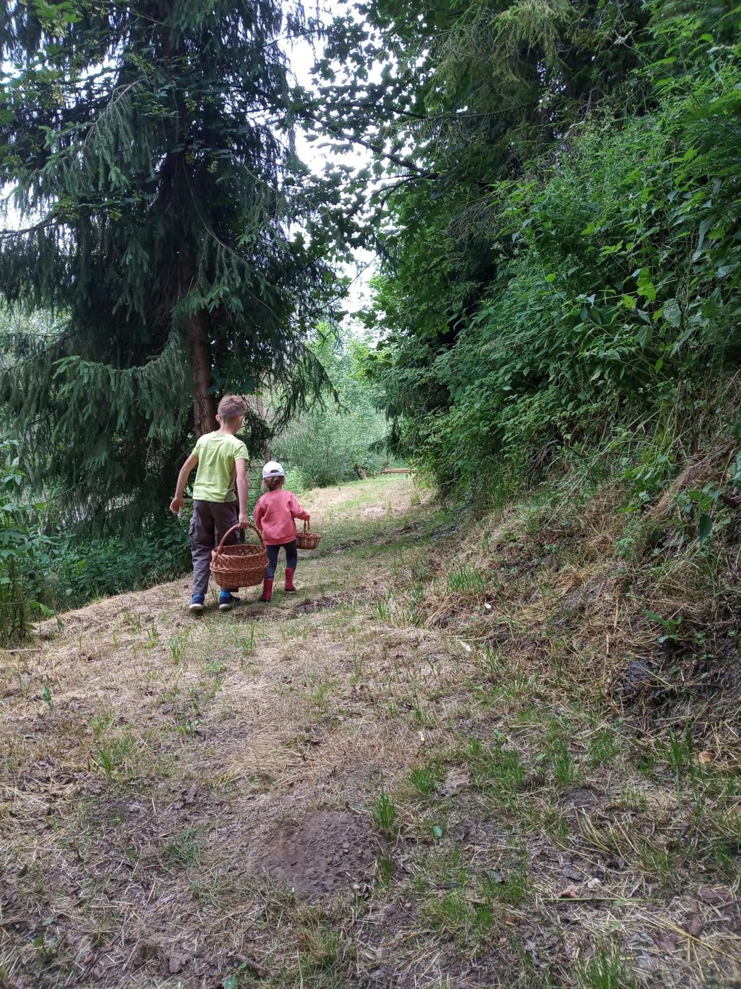 Agroturystyka Za Swierkami Tylicz