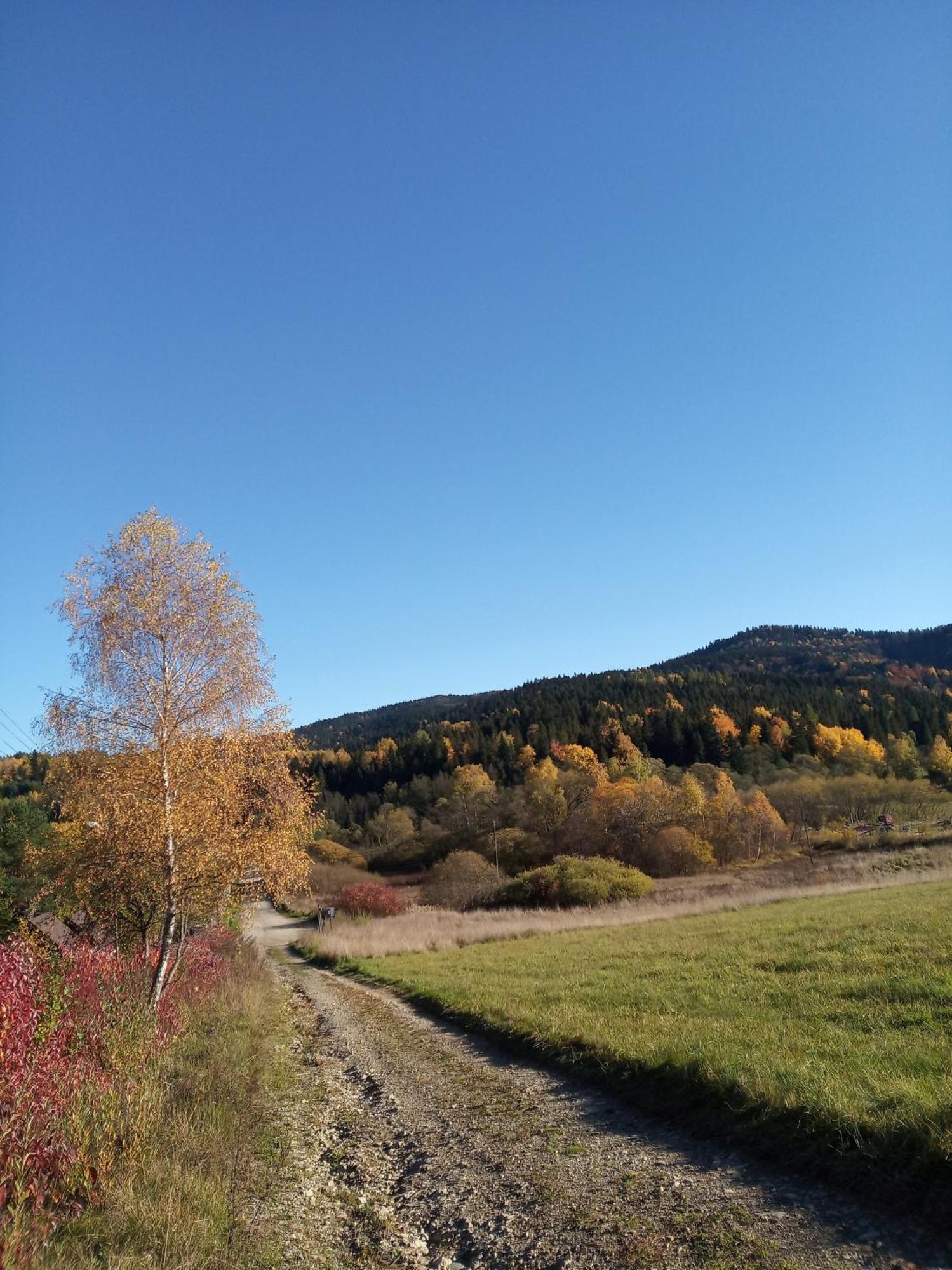 Apartment Agroturystyka Za Swierkami