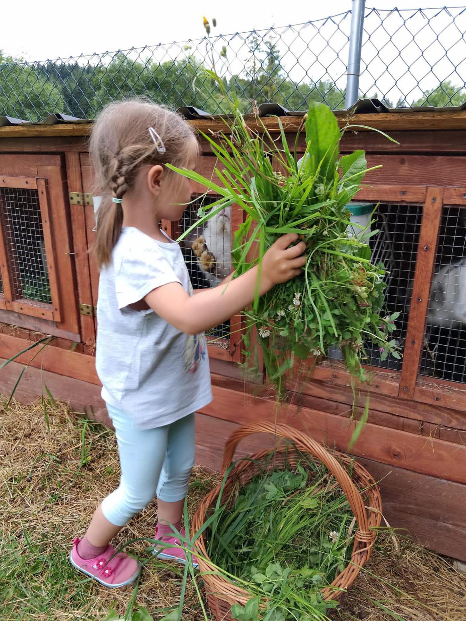 Agroturystyka Za Swierkami Tylicz